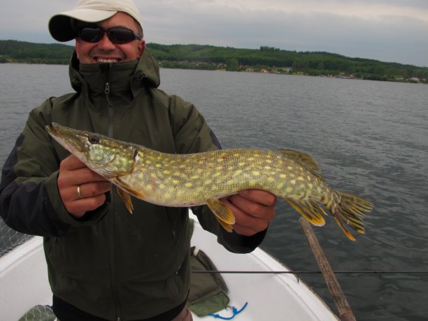 Shrap-Drakers.pl | Shrap Drakers Fishing | Wędkarstwo 