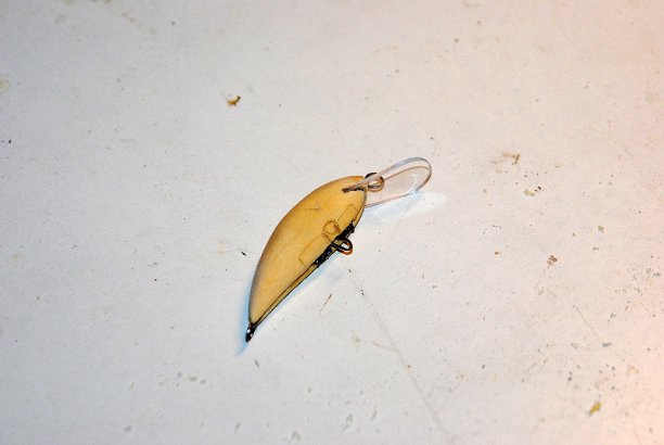 Shrap-Drakers.pl | Shrap Drakers Fishing | Wędkarstwo 