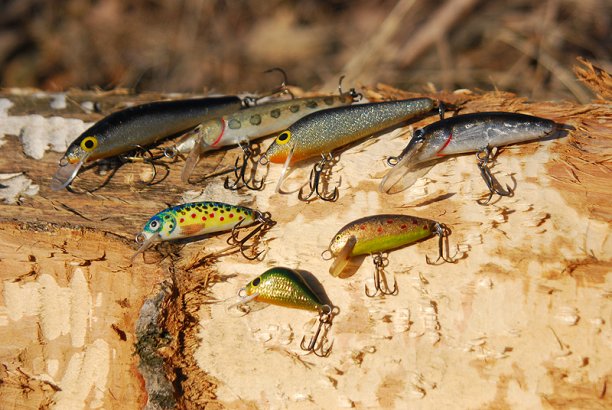 Shrap-Drakers.pl | Shrap Drakers Fishing | Wędkarstwo 