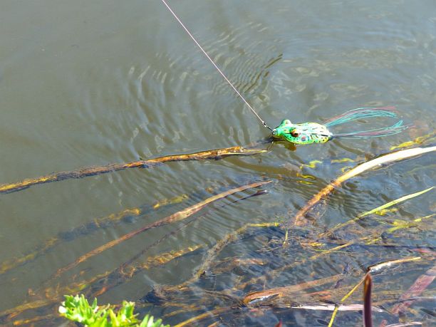 Shrap-Drakers.pl | Shrap Drakers Fishing | Wędkarstwo 