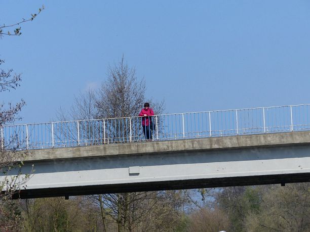 Shrap-Drakers.pl | Shrap Drakers Fishing | Wędkarstwo 