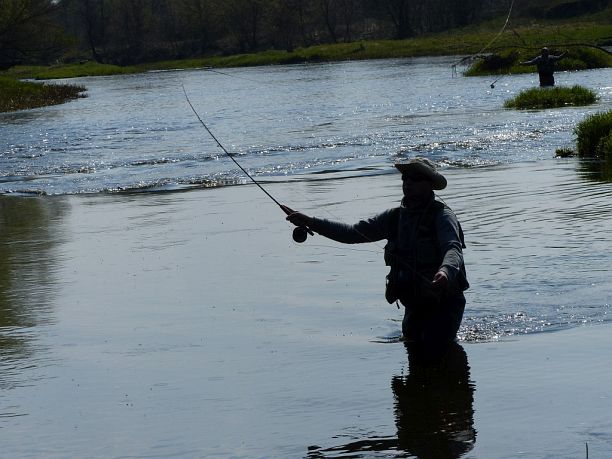 Shrap-Drakers.pl | Shrap Drakers Fishing | Wędkarstwo 