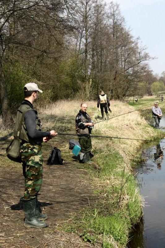 Shrap-Drakers.pl | Shrap Drakers Fishing | Wędkarstwo 