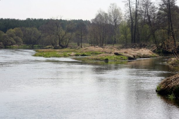 Shrap-Drakers.pl | Shrap Drakers Fishing | Wędkarstwo 