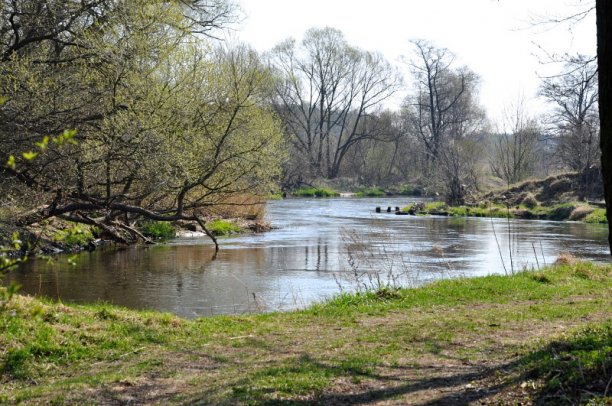 Shrap-Drakers.pl | Shrap Drakers Fishing | Wędkarstwo 