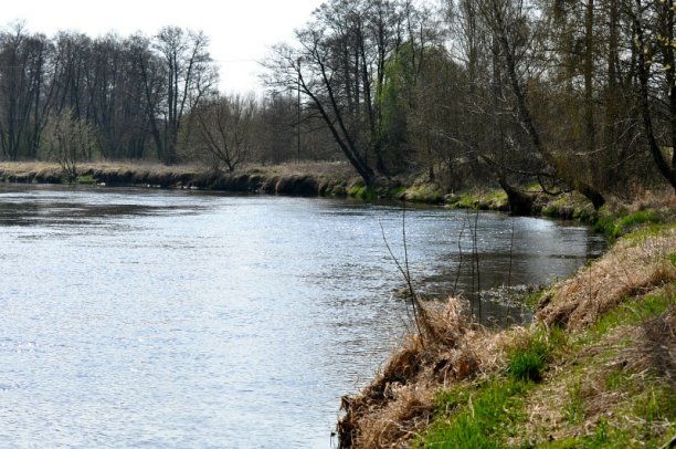 Shrap-Drakers.pl | Shrap Drakers Fishing | Wędkarstwo 