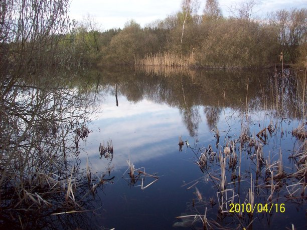 Shrap-Drakers.pl | Shrap Drakers Fishing | Wędkarstwo 