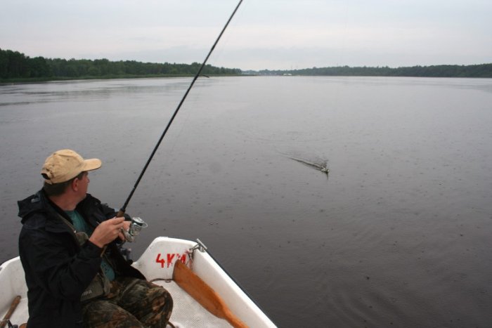 Shrap-Drakers.pl | Shrap Drakers Fishing | Wędkarstwo 