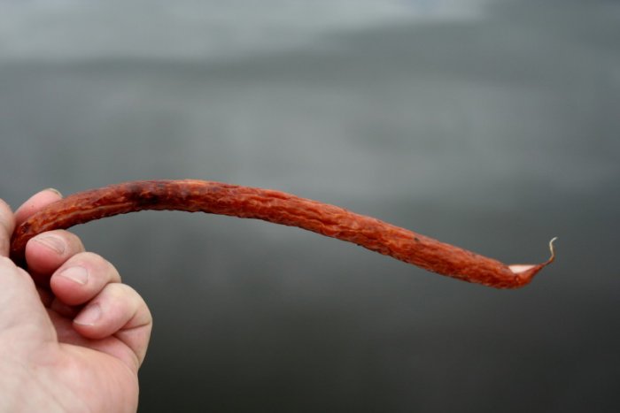 Shrap-Drakers.pl | Shrap Drakers Fishing | Wędkarstwo 