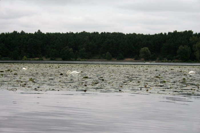 Shrap-Drakers.pl | Shrap Drakers Fishing | Wędkarstwo 