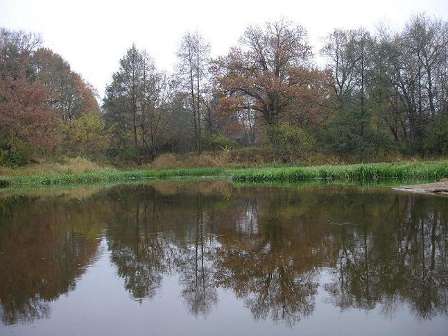 2008.11.25 130.jpg