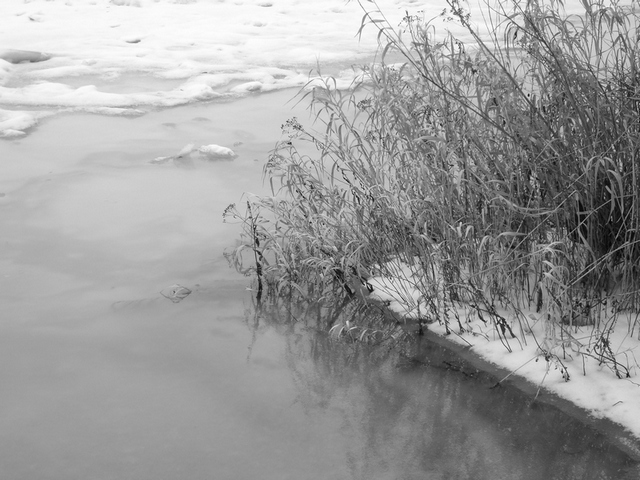 2009.01.11 041.jpg
