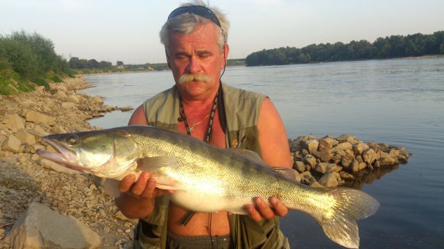 8 08 dziki kopyto 4.jpg