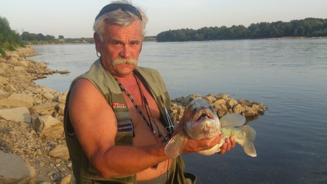 8 08 dziki kopyto 3.jpg