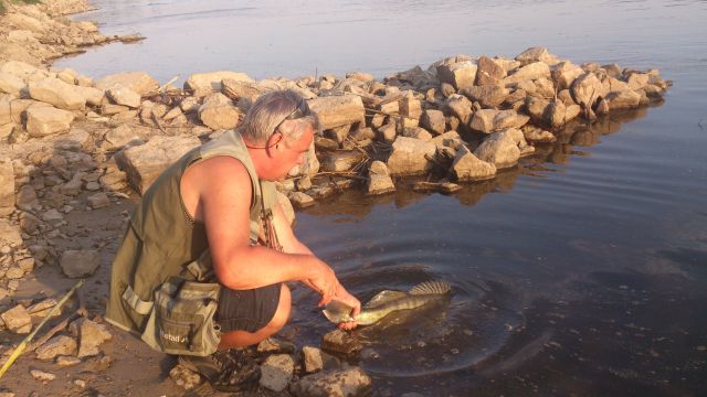 8 08 dziki kopyto 2.jpg