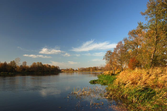 narew.jpg