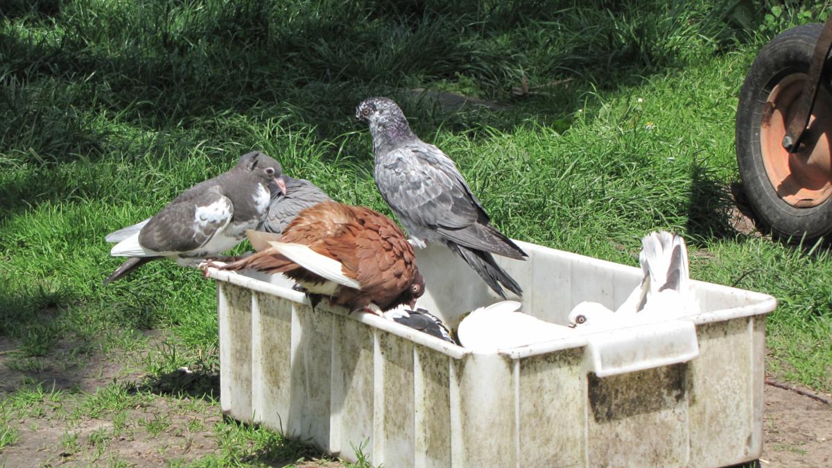 2010-05-23 _ 12_20_20-IMG_0252_1200x675.jpg