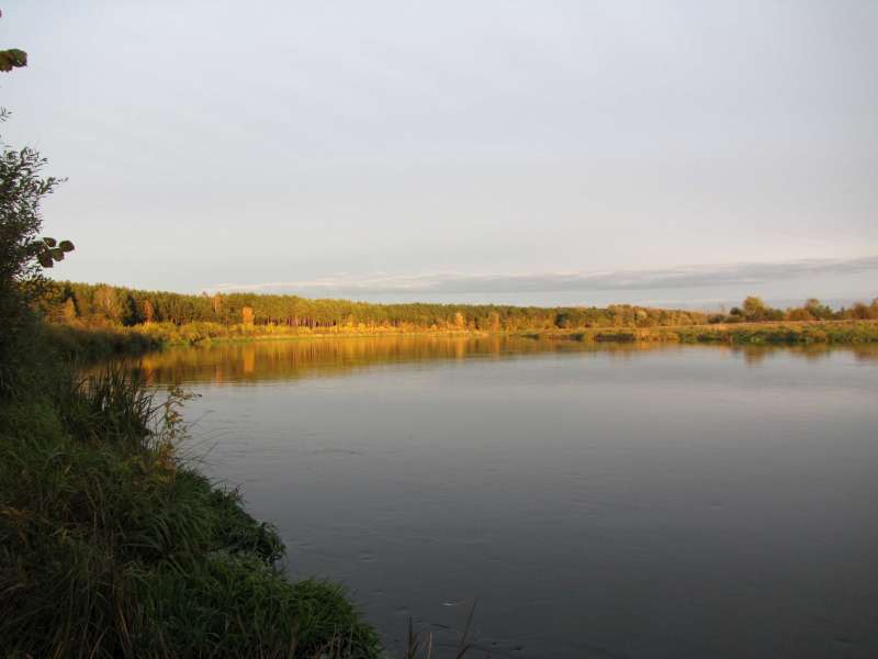 IMG_0449-800.jpg