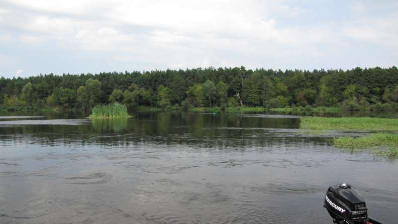 IMG_0817-800.jpg