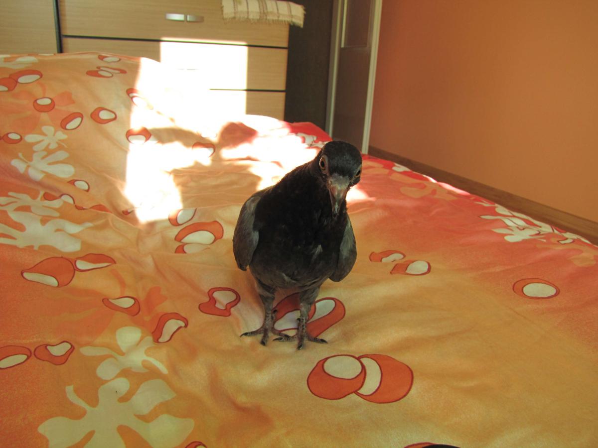 2009-10-30 _ 12_12_16-IMG_0233_1200x900.jpg