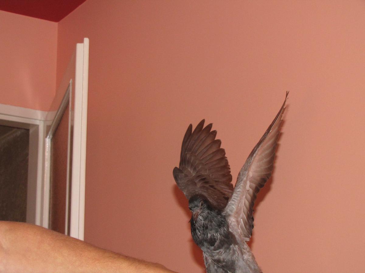 2009-10-16 _ 13_06_20-IMG_0541_1200x900.jpg