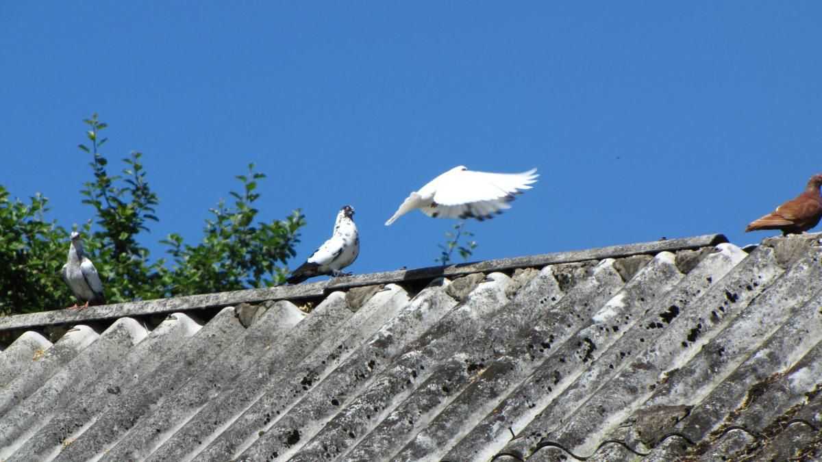 2010-06-17 _ 11_52_55-IMG_0634_1200x675.jpg