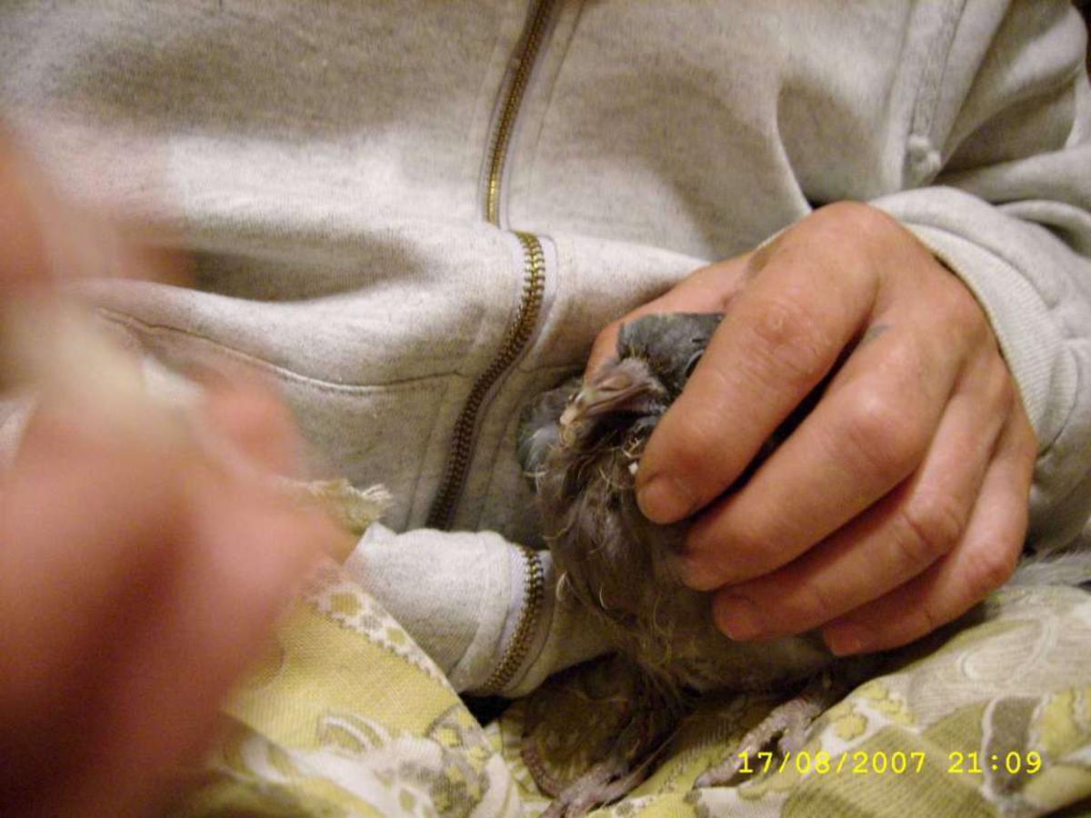 2008-11-03 _ 17_50_25-SSA54410-1024_1200x900.jpg