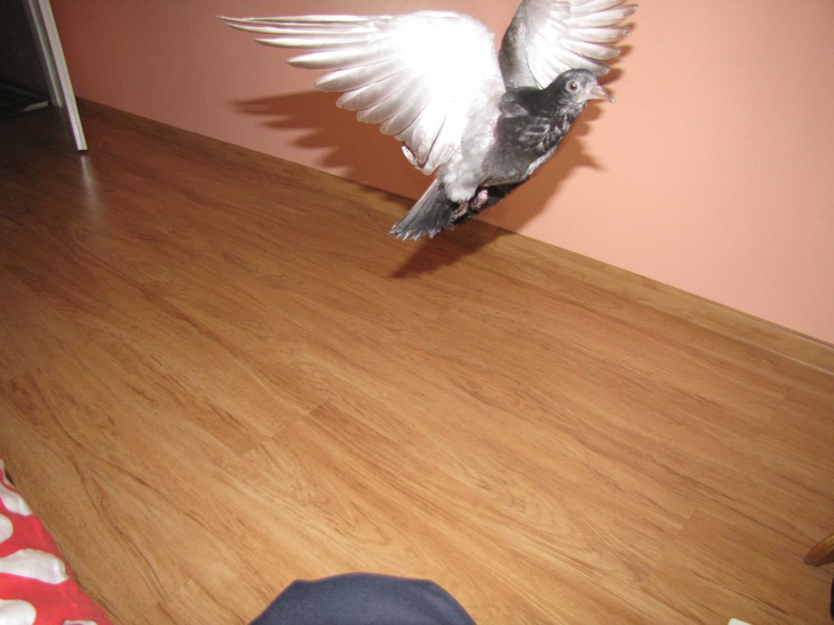 2009-10-16 _ 13_07_13-IMG_0592_1200x900.jpg