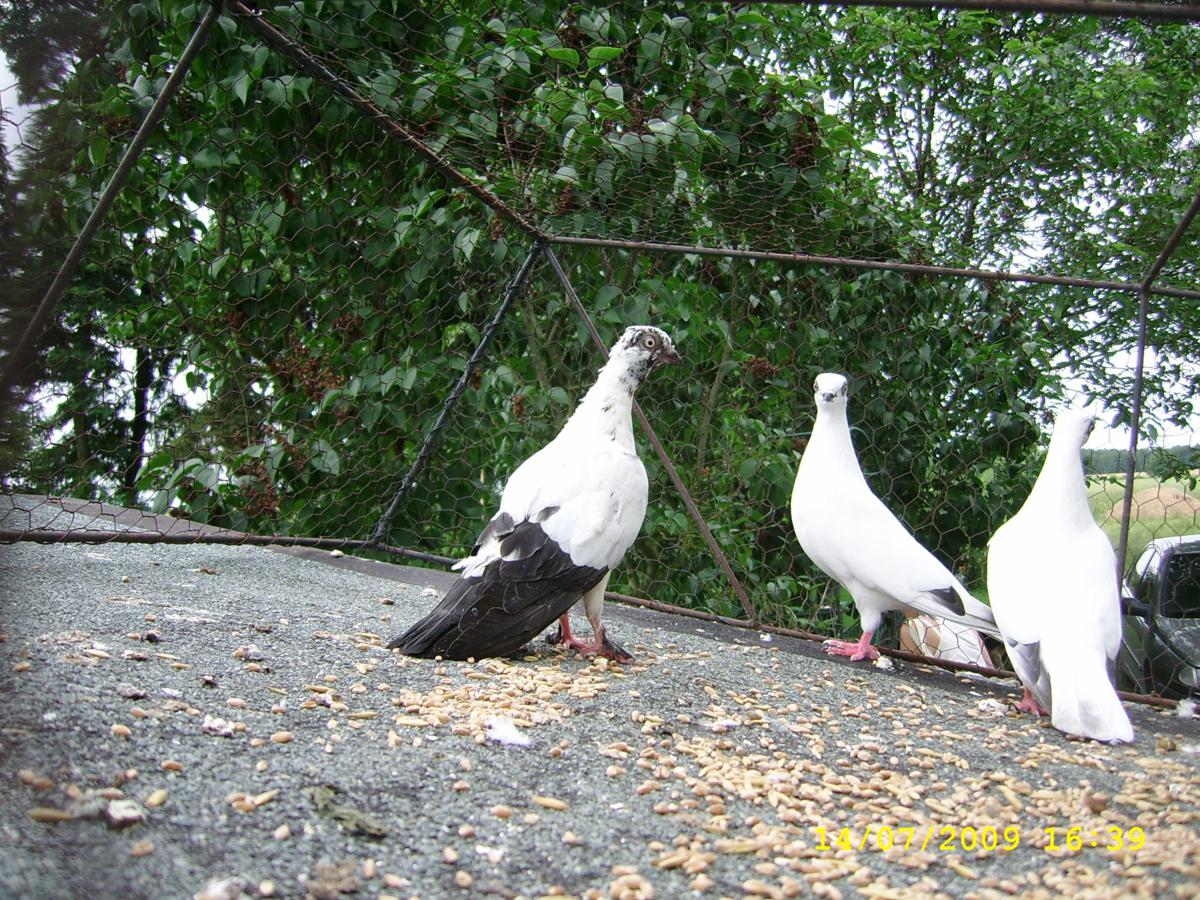 2009-07-14 _ 15_39_52-SSA59644_1200x900.jpg