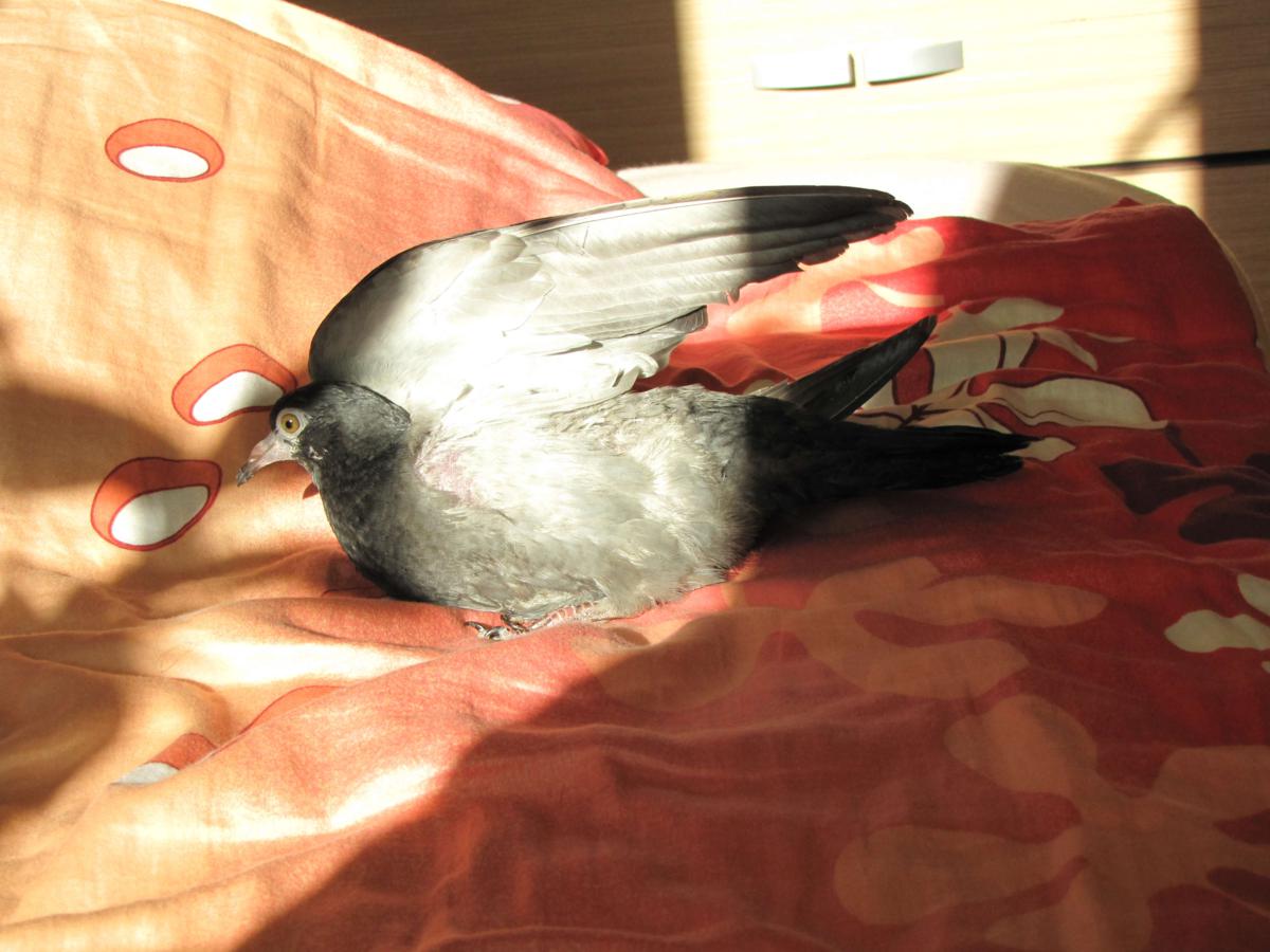 2009-10-30 _ 12_10_13-IMG_0224_1200x900.jpg