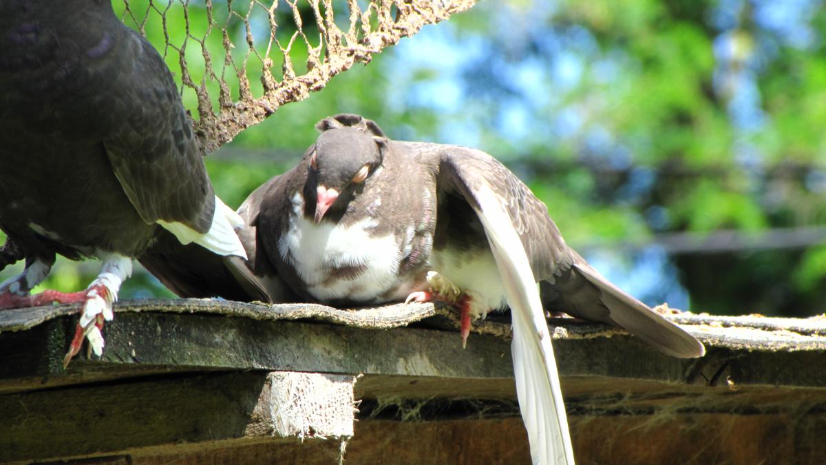 2010-06-30 _ 13_30_58-IMG_1284_1200x675.jpg