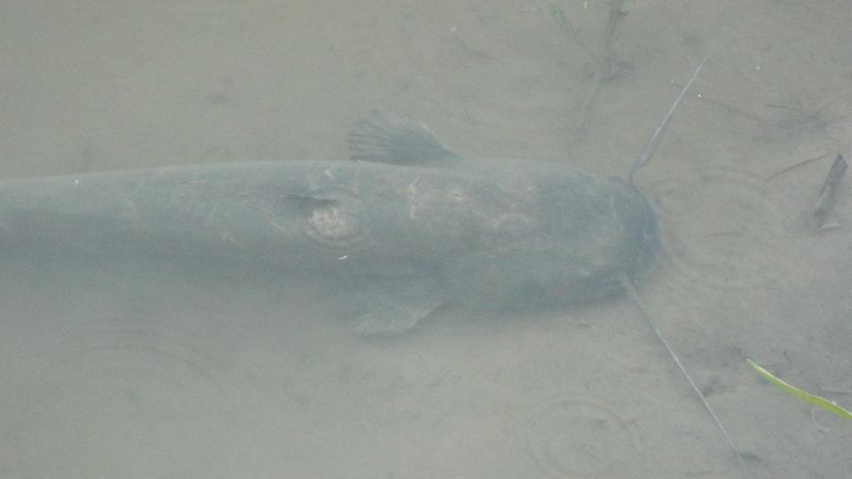 3.05.2013 Wisła.jpg