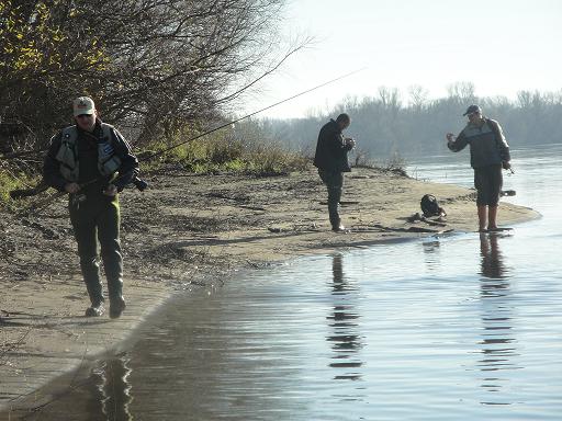 Zlot Shrap-Drakers 14.11.2010 012.jpg