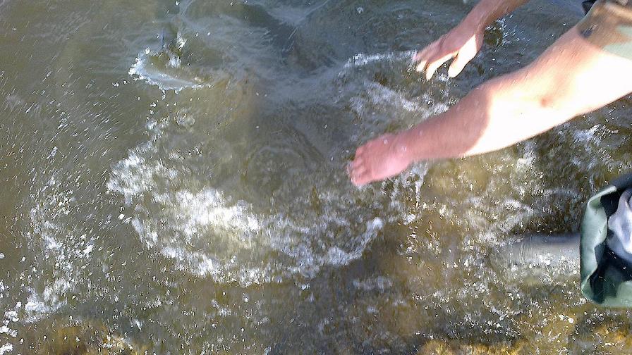 17082012082.jpg