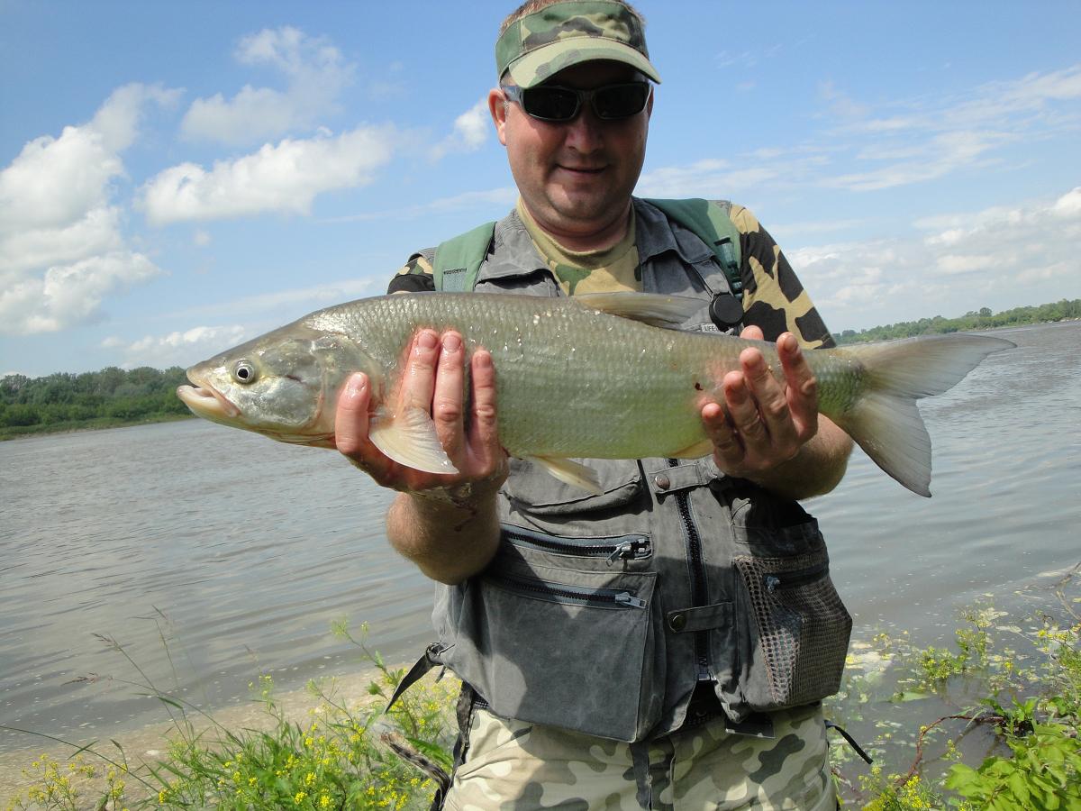 Bolenie 17.06.2012 015.jpg