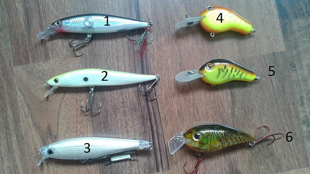 20150621_151613.jpg