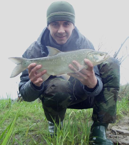 3.05.2013 Boleń.jpg