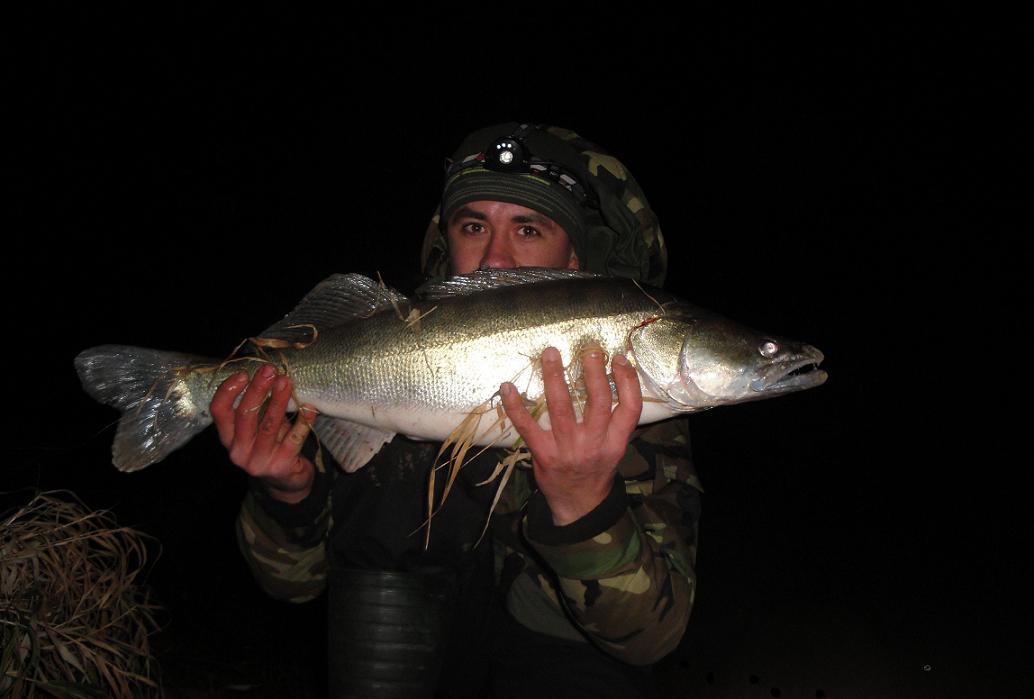 Sandacz 77cm 6.XII.2012 004.jpg