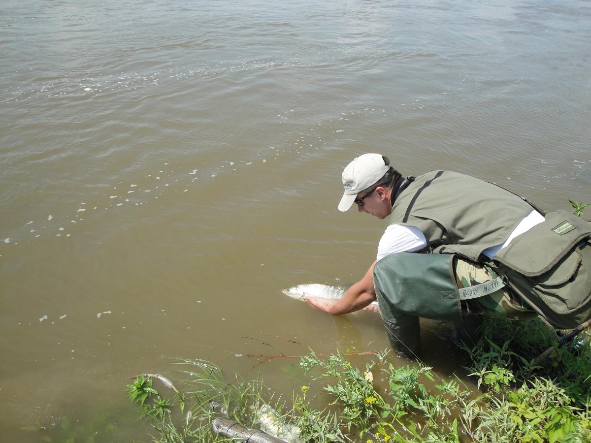 Bolenie 17.06.2012 024.jpg