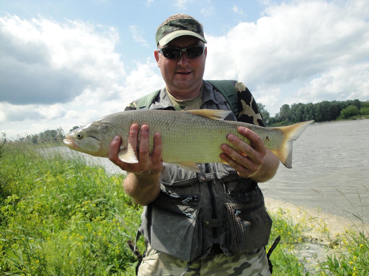 Bolenie 17.06.2012 014.jpg