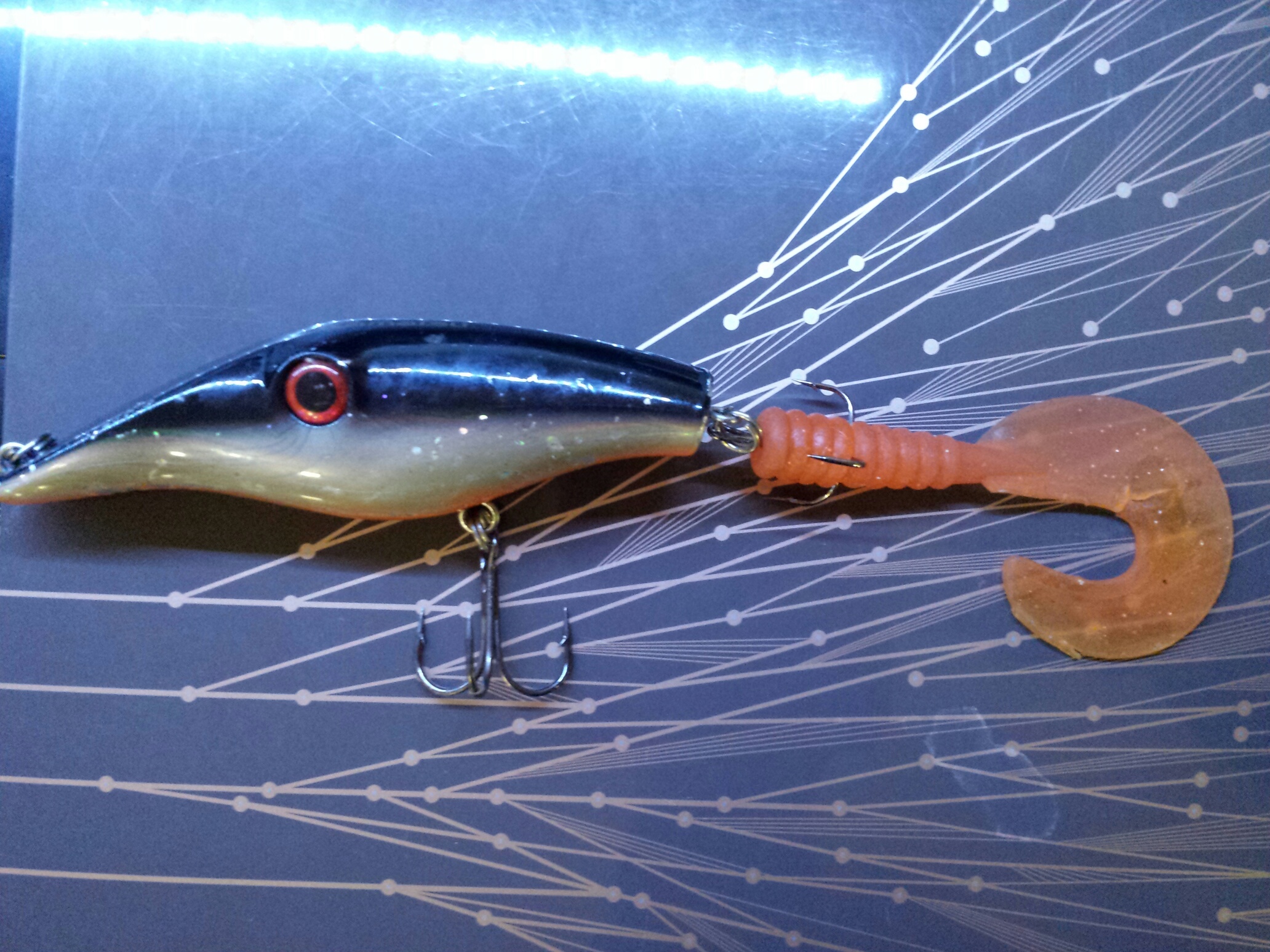 20150818_043617_resized_1 (1).jpg