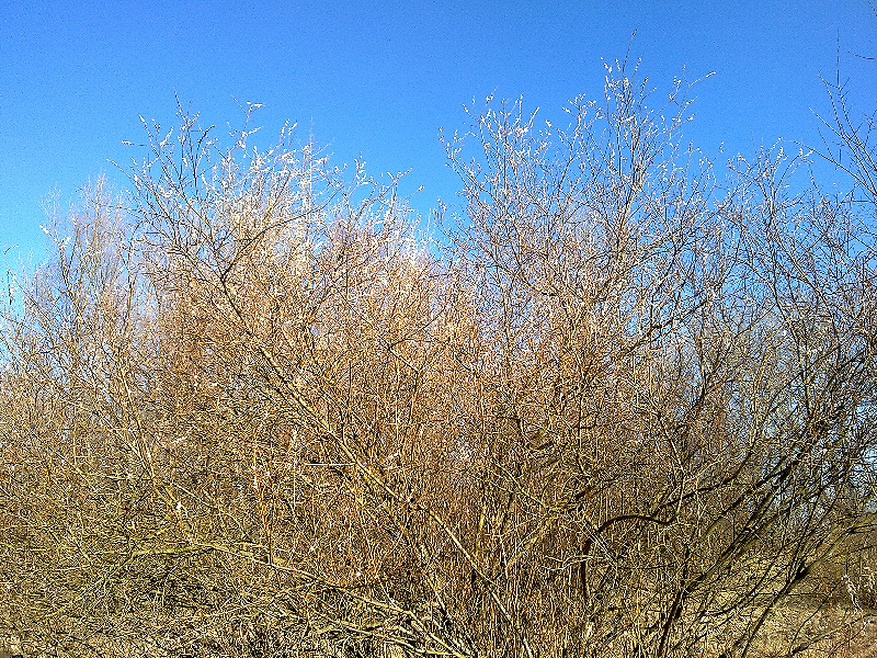 20120305074.jpg