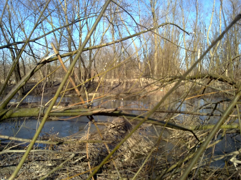 20120305068.jpg
