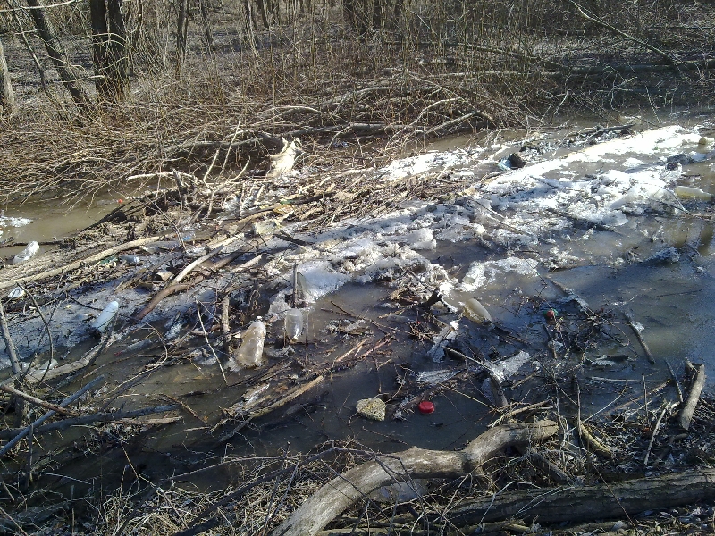 20120305067.jpg