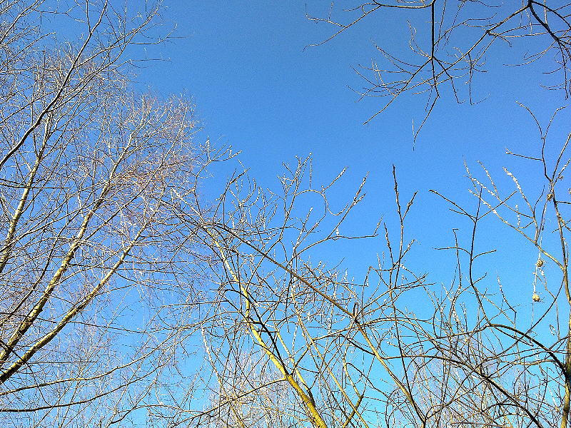 20120305070.jpg
