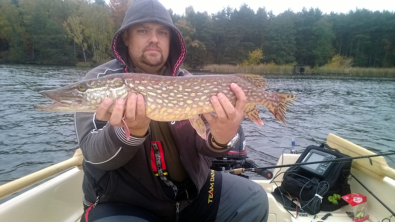 szczupaczek zegrze.jpg