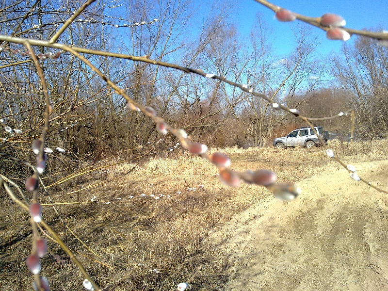 20120305072.jpg