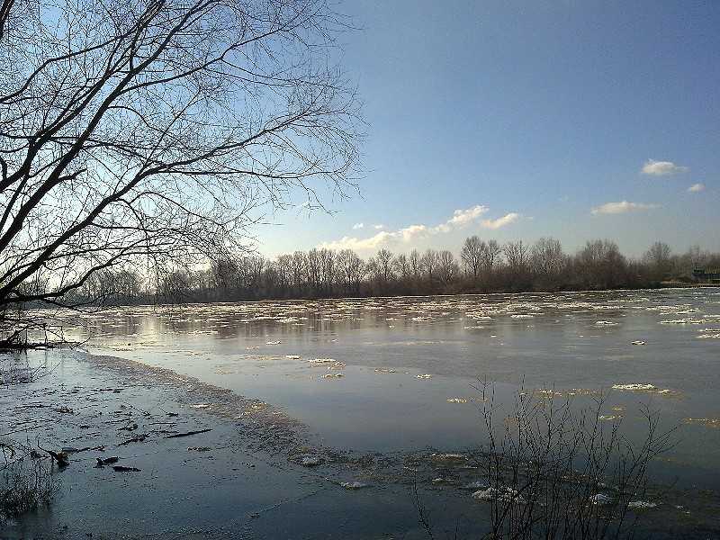 20120305066.jpg