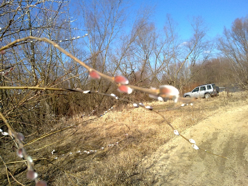 20120305073.jpg