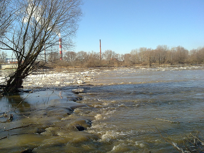 20120305064.jpg